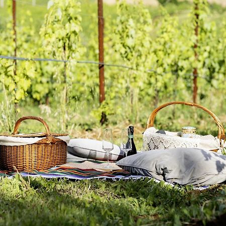 L'Alpenice Bioagriturismo Villa Savignano sul Panaro Kültér fotó