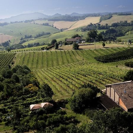 La Ca Dal Non Bioagriturismo - Alpenice Savignano sul Panaro Kültér fotó