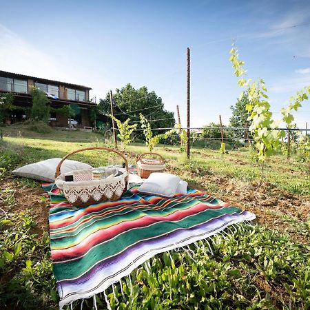 La Ca Dal Non Bioagriturismo - Alpenice Savignano sul Panaro Kültér fotó