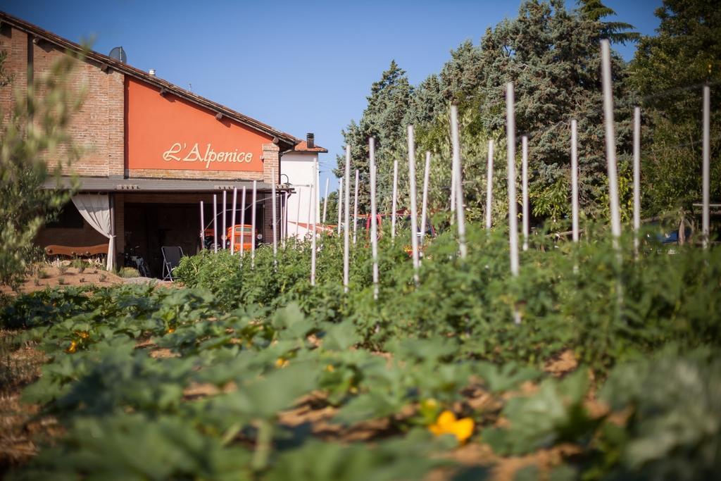 L'Alpenice Bioagriturismo Villa Savignano sul Panaro Kültér fotó