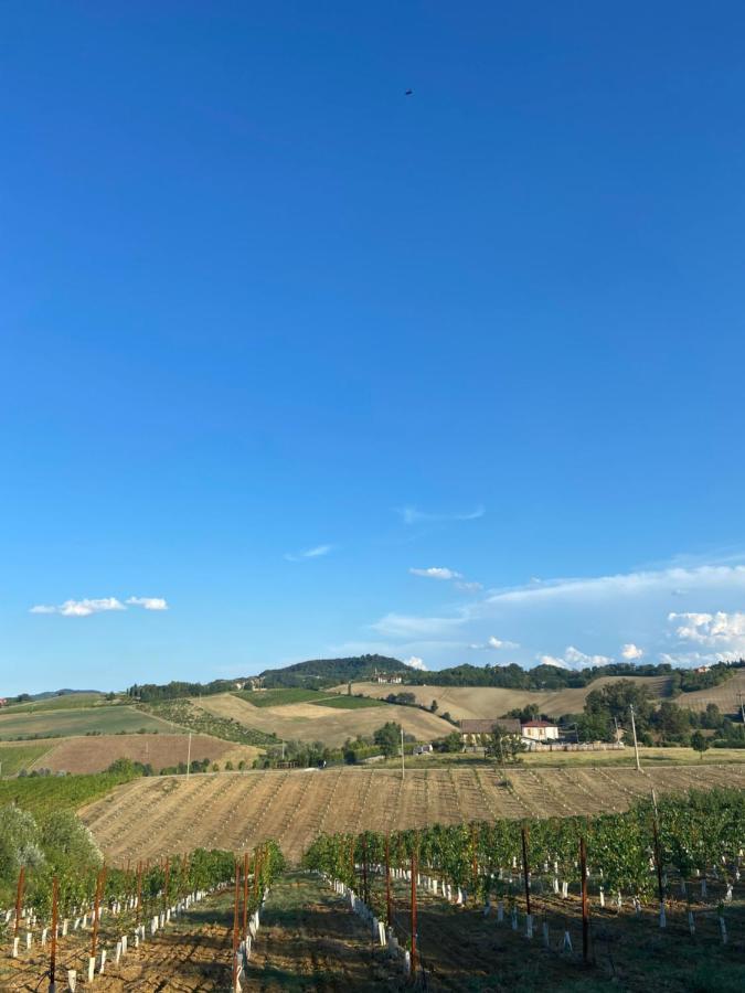 L'Alpenice Bioagriturismo Villa Savignano sul Panaro Kültér fotó