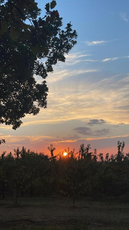 L'Alpenice Bioagriturismo Villa Savignano sul Panaro Kültér fotó