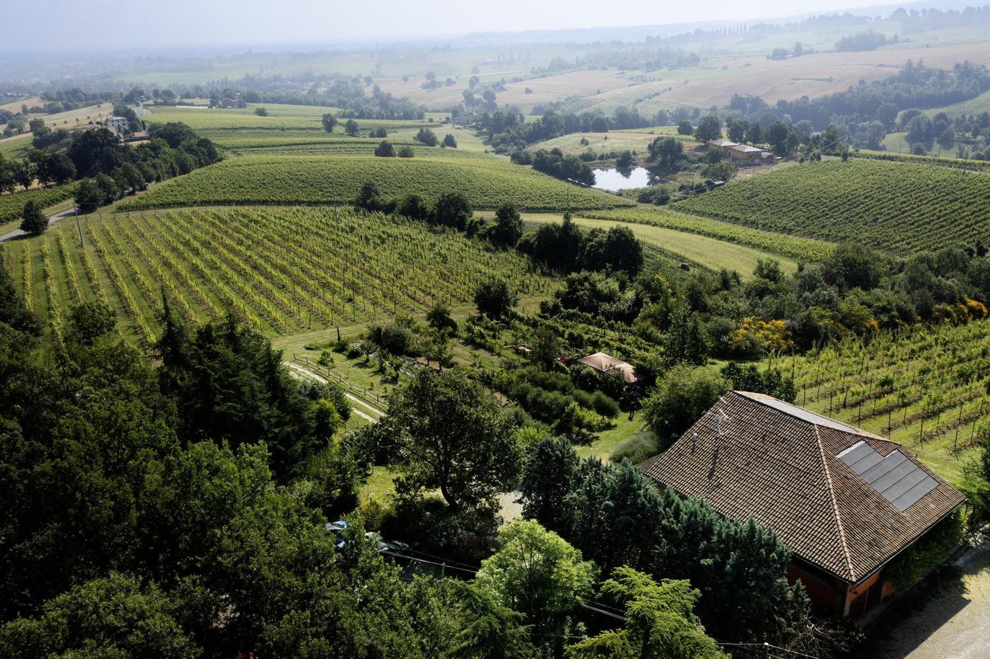 L'Alpenice Bioagriturismo Villa Savignano sul Panaro Kültér fotó