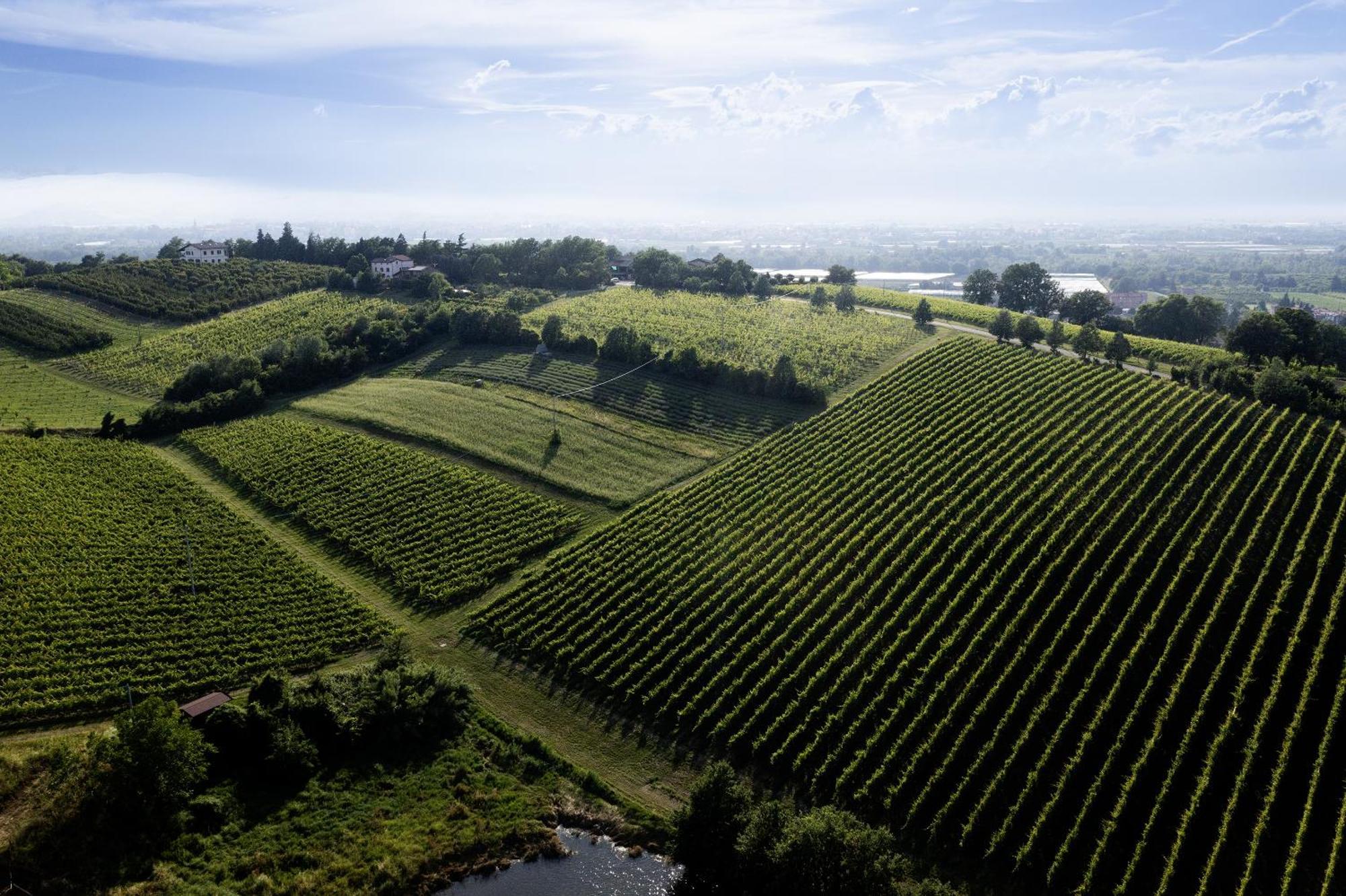 L'Alpenice Bioagriturismo Villa Savignano sul Panaro Kültér fotó