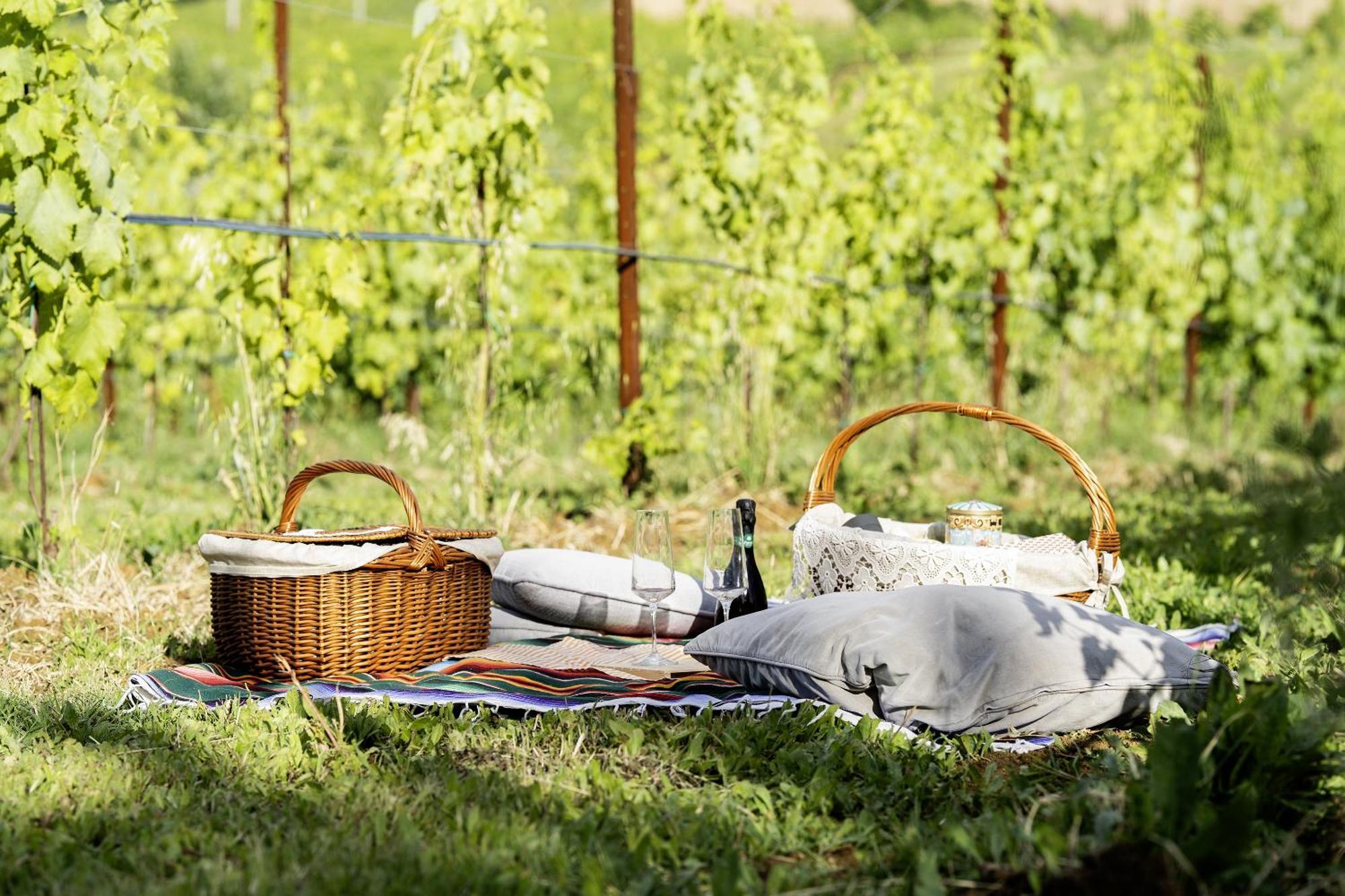 La Ca Dal Non Bioagriturismo - Alpenice Savignano sul Panaro Kültér fotó