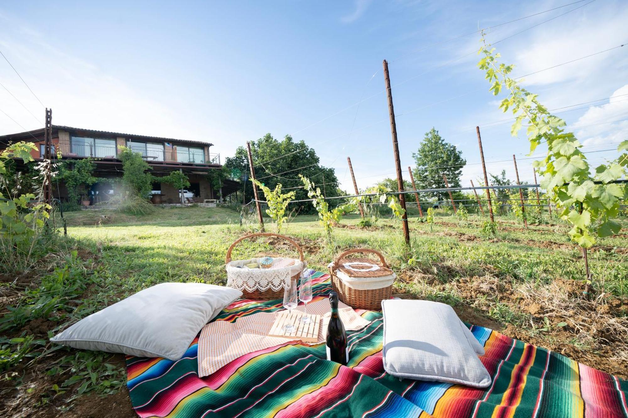 La Ca Dal Non Bioagriturismo - Alpenice Savignano sul Panaro Kültér fotó