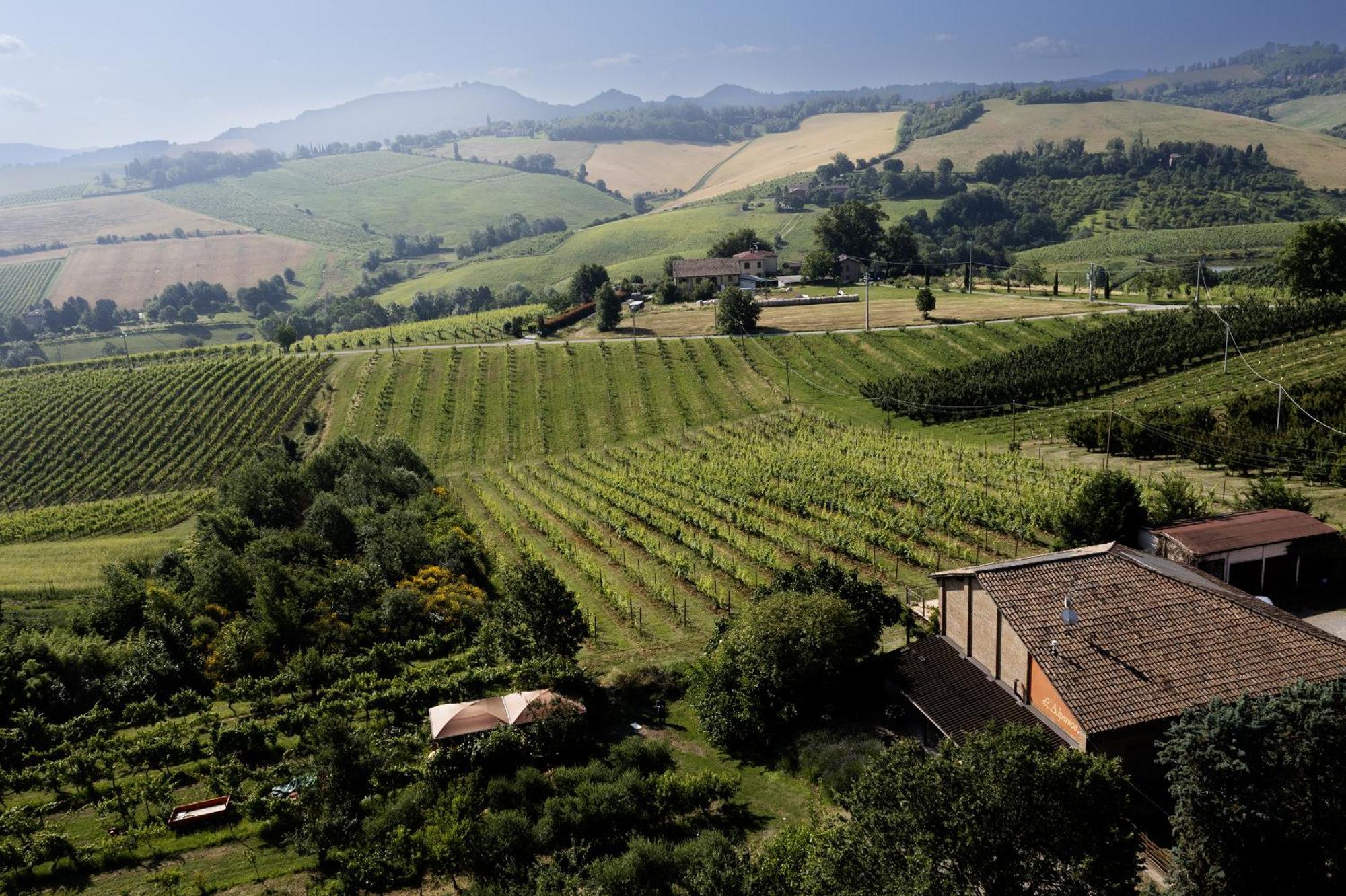 La Ca Dal Non Bioagriturismo - Alpenice Savignano sul Panaro Kültér fotó