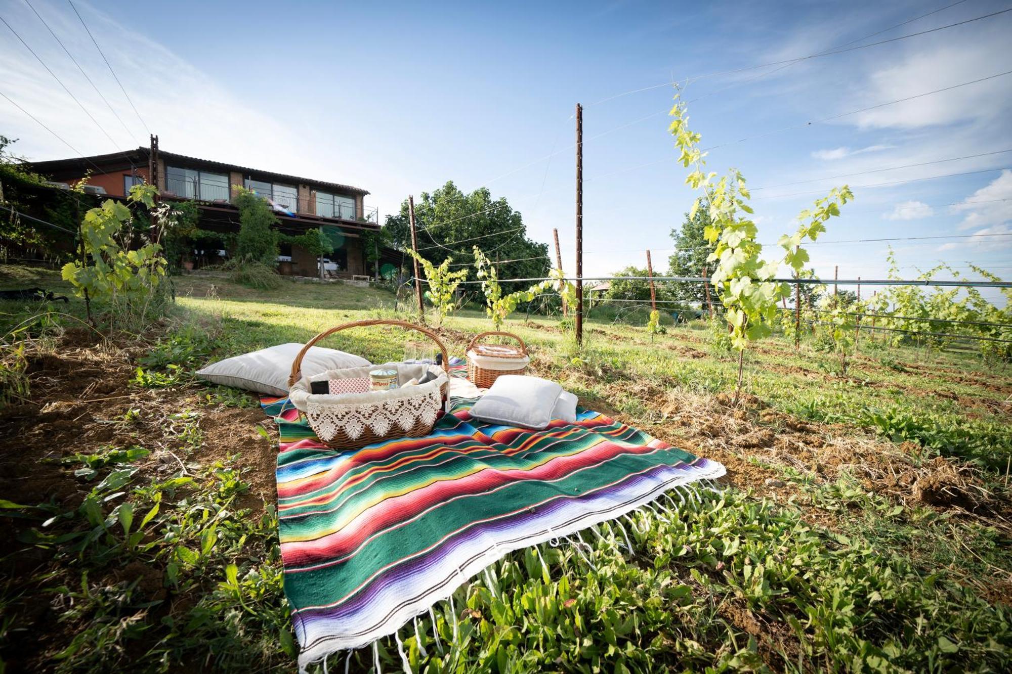 La Ca Dal Non Bioagriturismo - Alpenice Savignano sul Panaro Kültér fotó