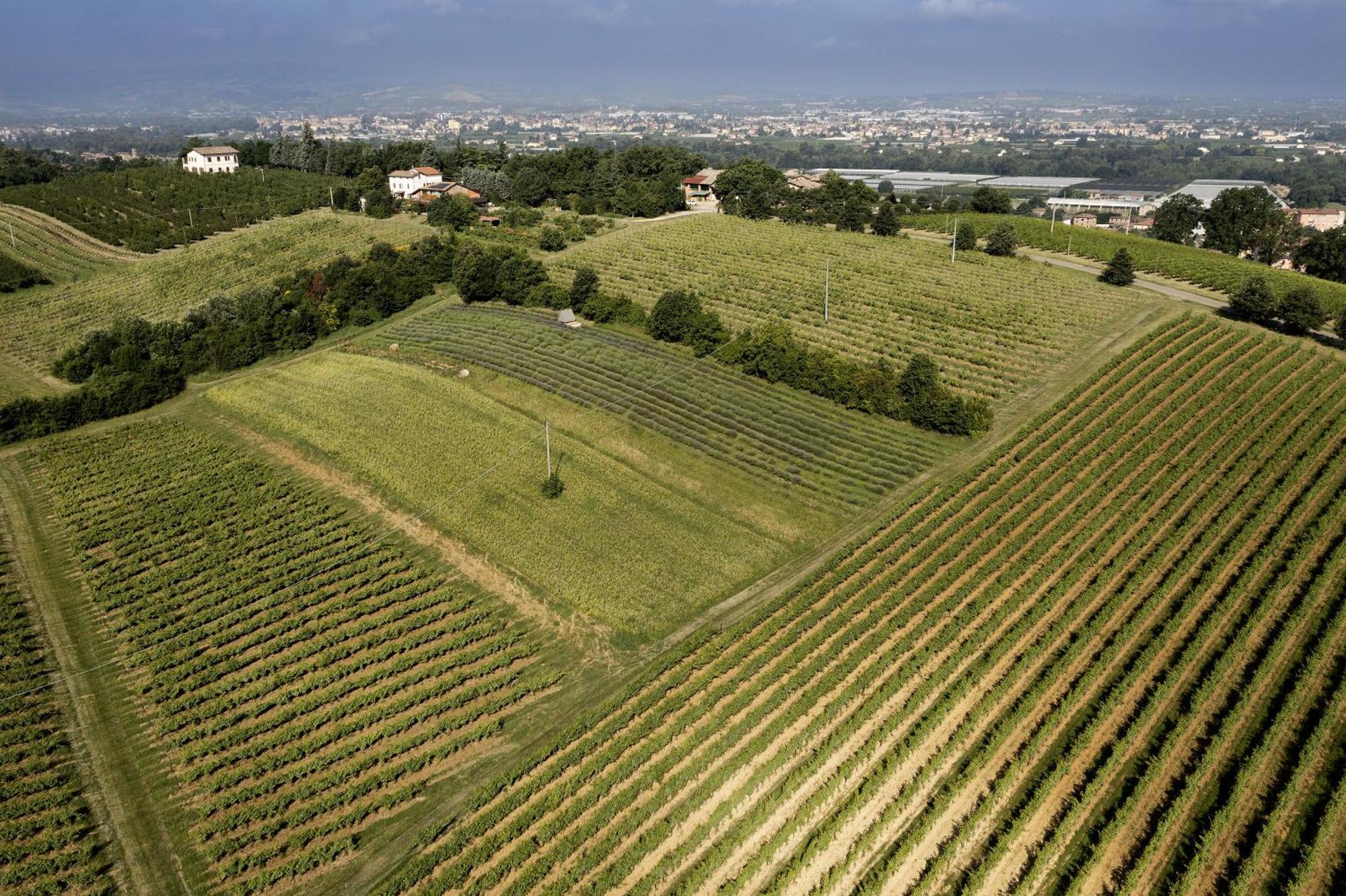 La Ca Dal Non Bioagriturismo - Alpenice Savignano sul Panaro Kültér fotó