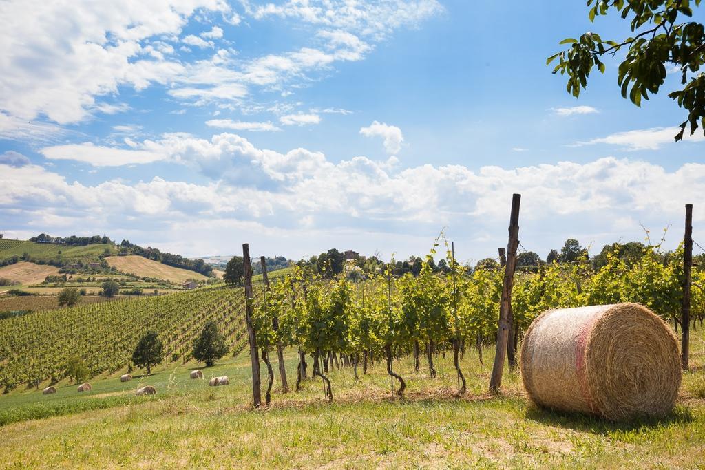 L'Alpenice Bioagriturismo Villa Savignano sul Panaro Kültér fotó