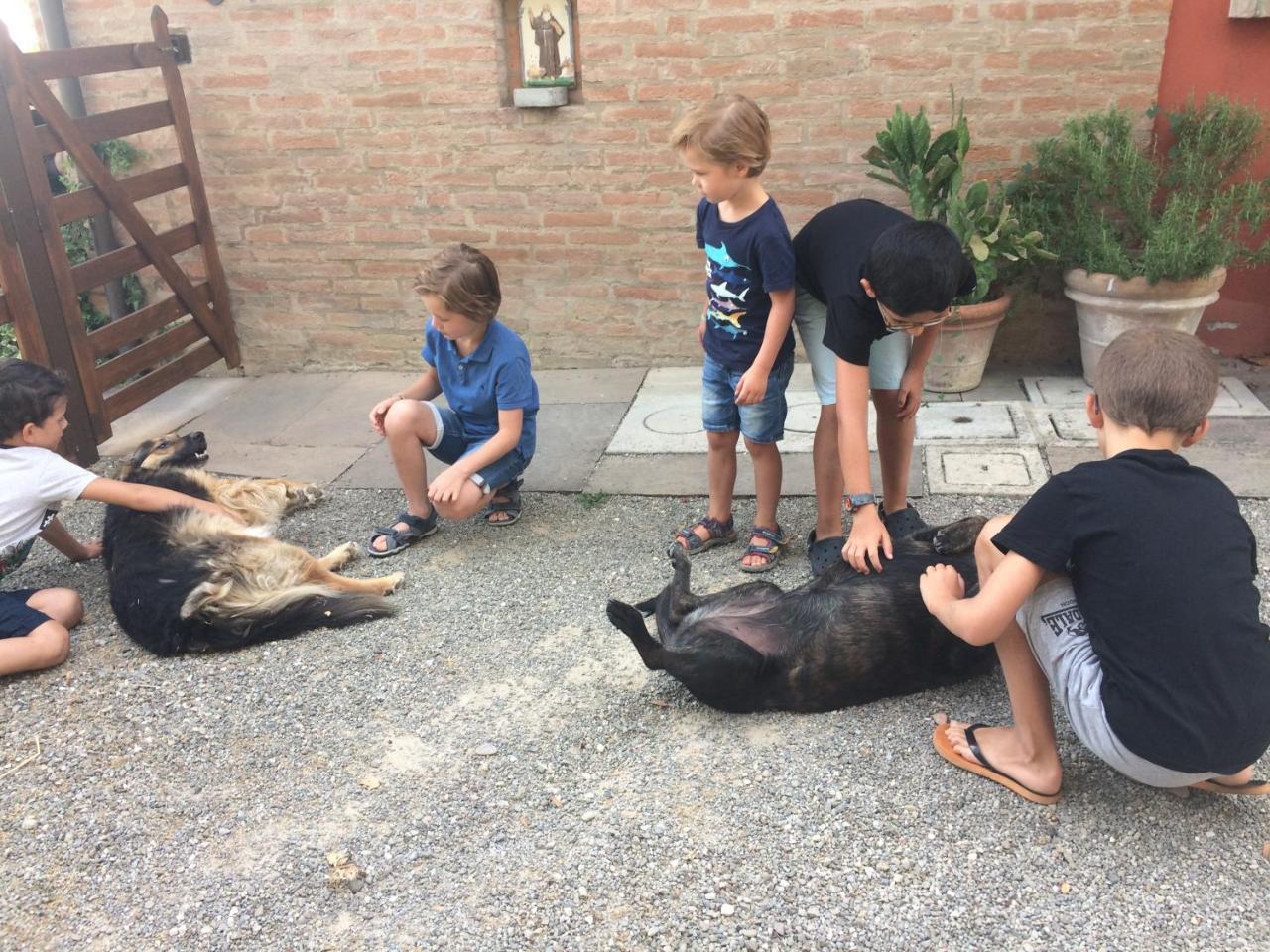 La Ca Dal Non Bioagriturismo - Alpenice Savignano sul Panaro Kültér fotó